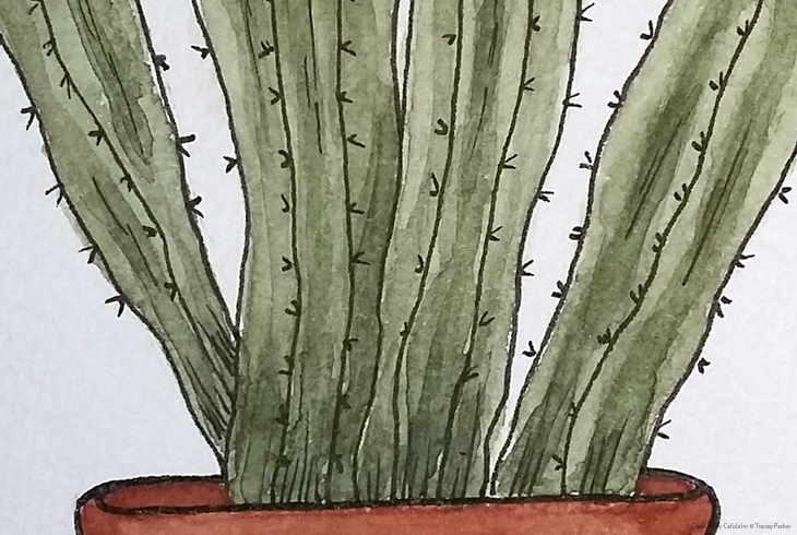 Watercolour Cactus