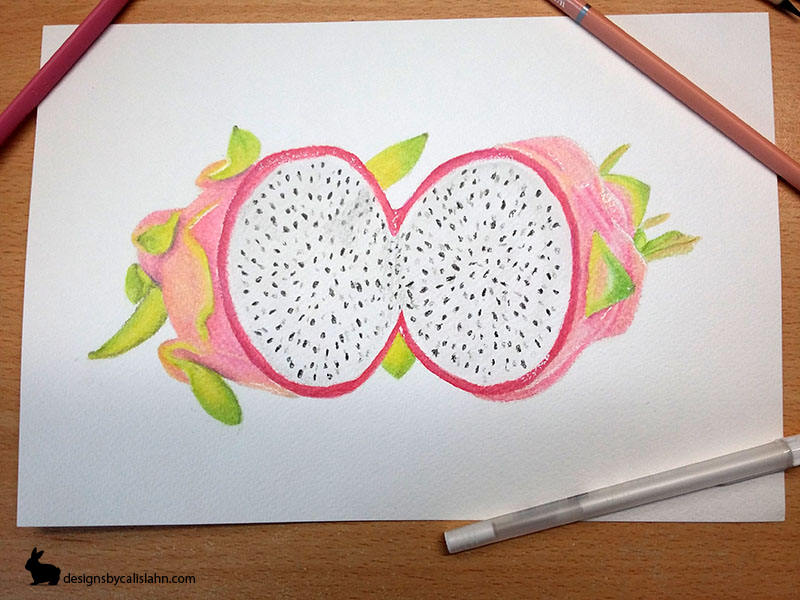 Coloured Pencil Dragon Fruit Designs By Calislahn