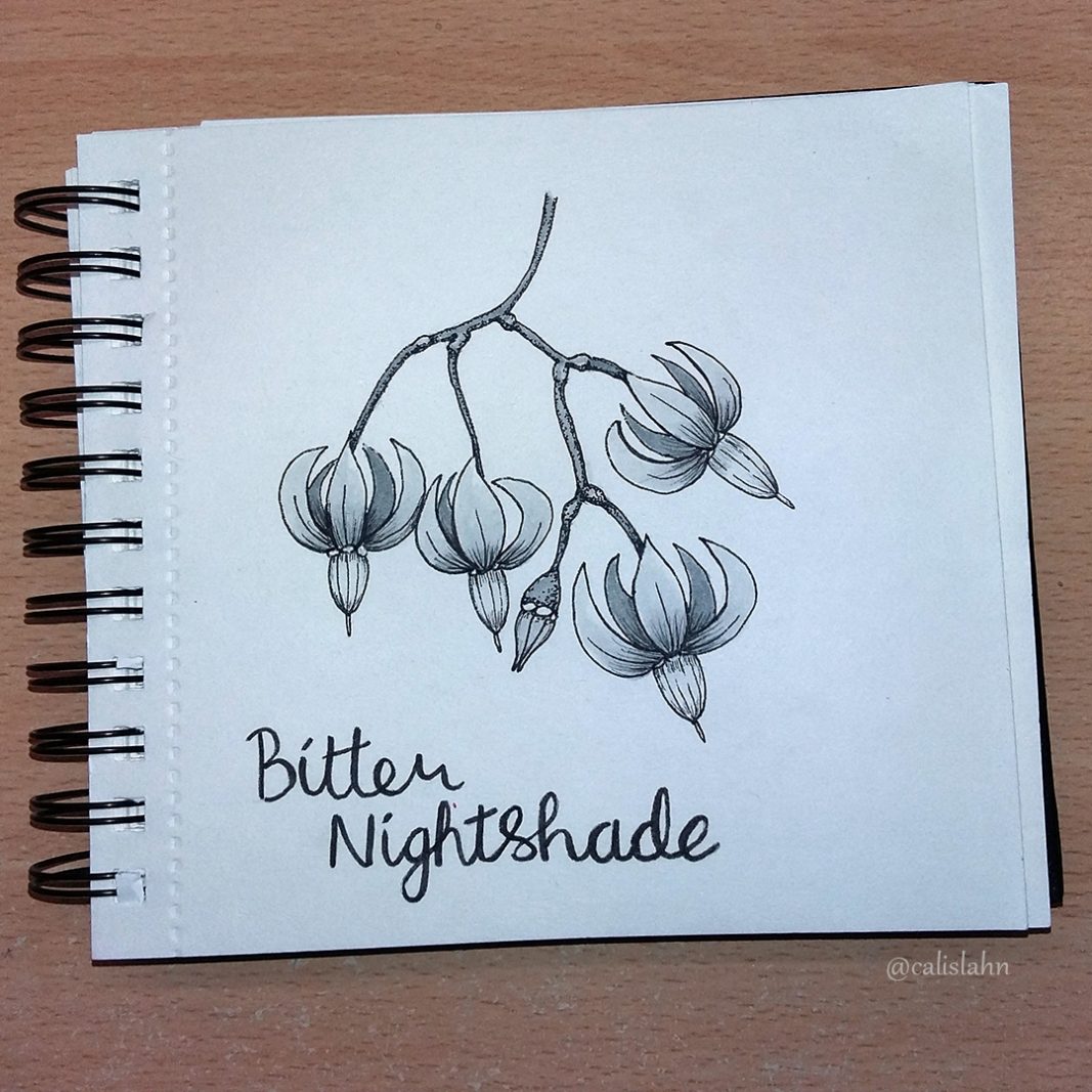 Bloomtober Day 4 - Bitter Nightshade by Calislahn