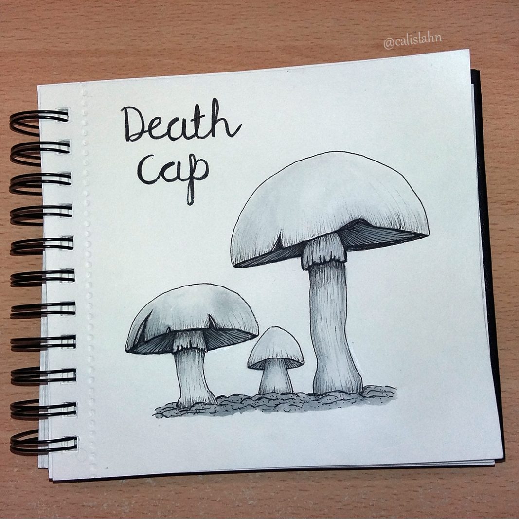 Bloomtober Day 5 - Death Cap by Calislahn