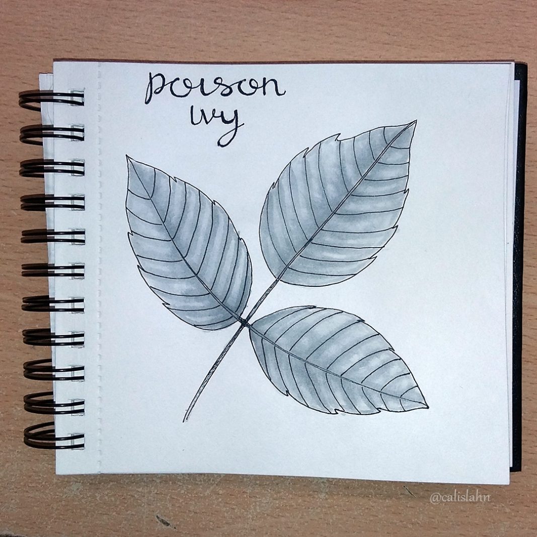 Bloomtober Day 9 - Poison Ivy by Calislahn