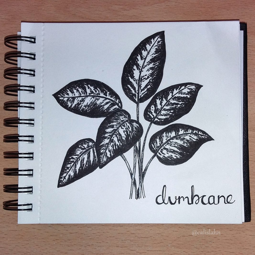 Bloomtober Day 11 - Dumbcane by Calislahn