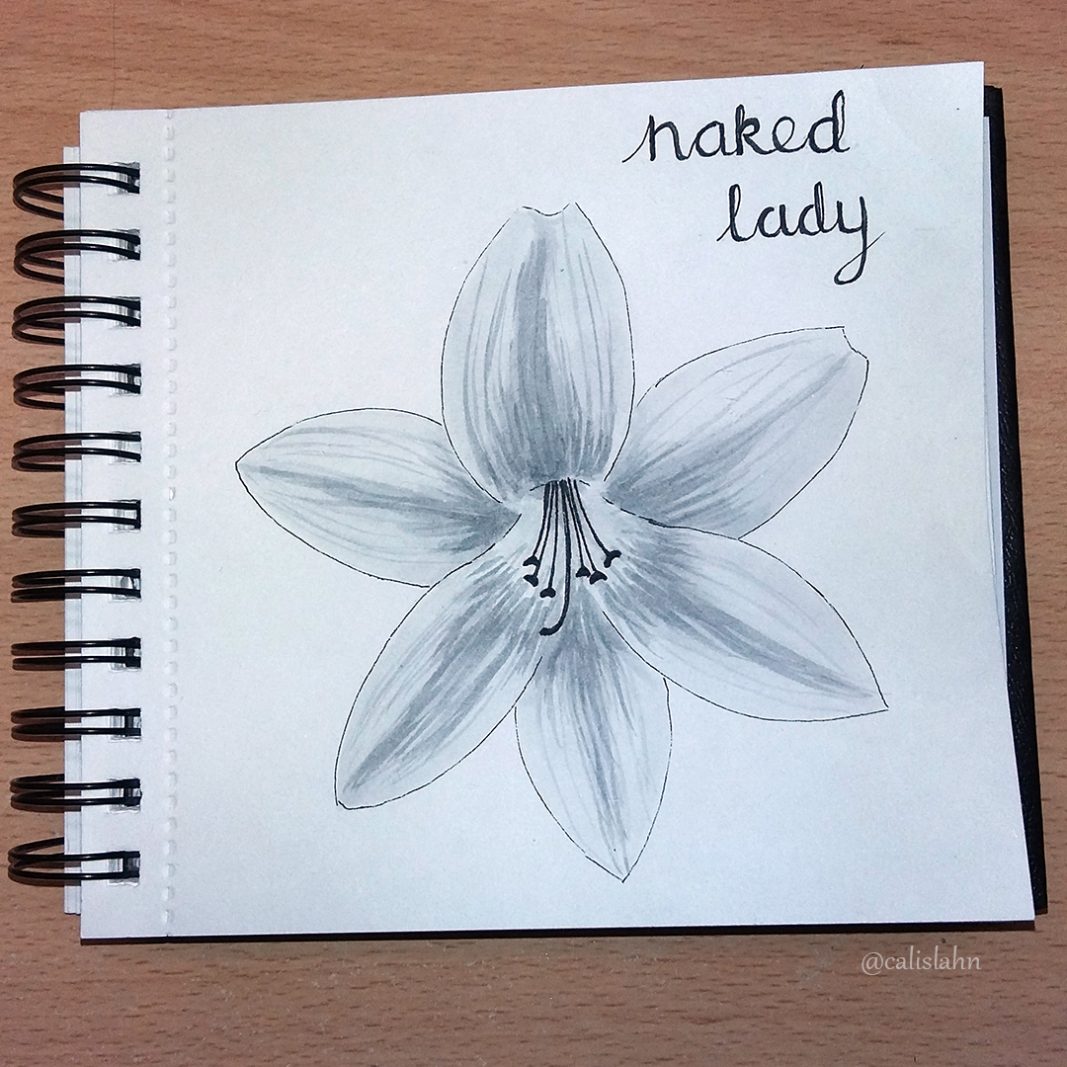 Bloomtober Day 14 - Naked Lady by Calislahn