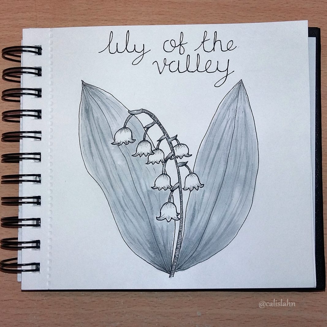 Bloomtober Day 15 - Lily of the Valley by Calislahn