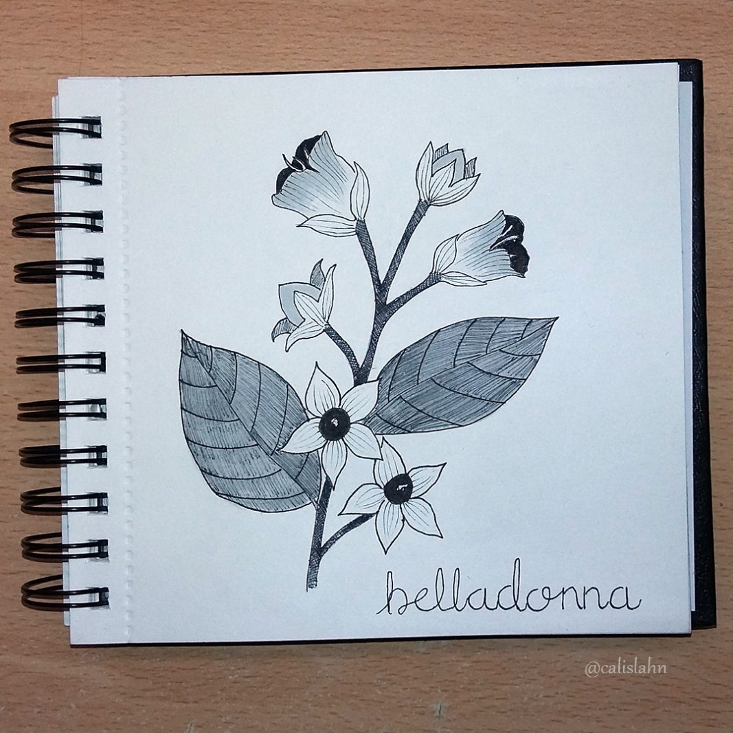 Bloomtober Day 16 - Belladonna by Calislahn