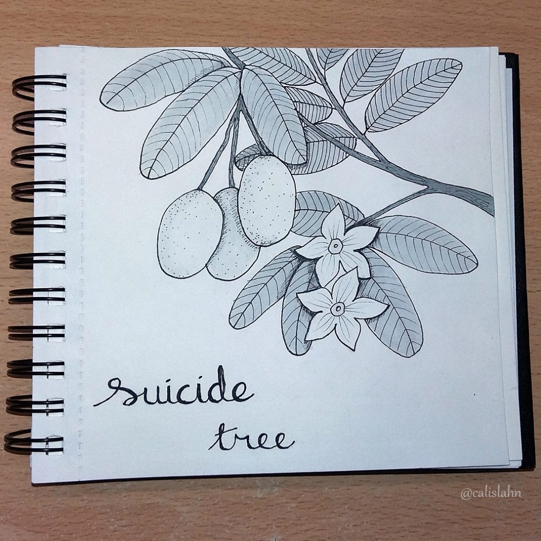 Bloomtober Day 21 - Suicide Tree by Calislahn