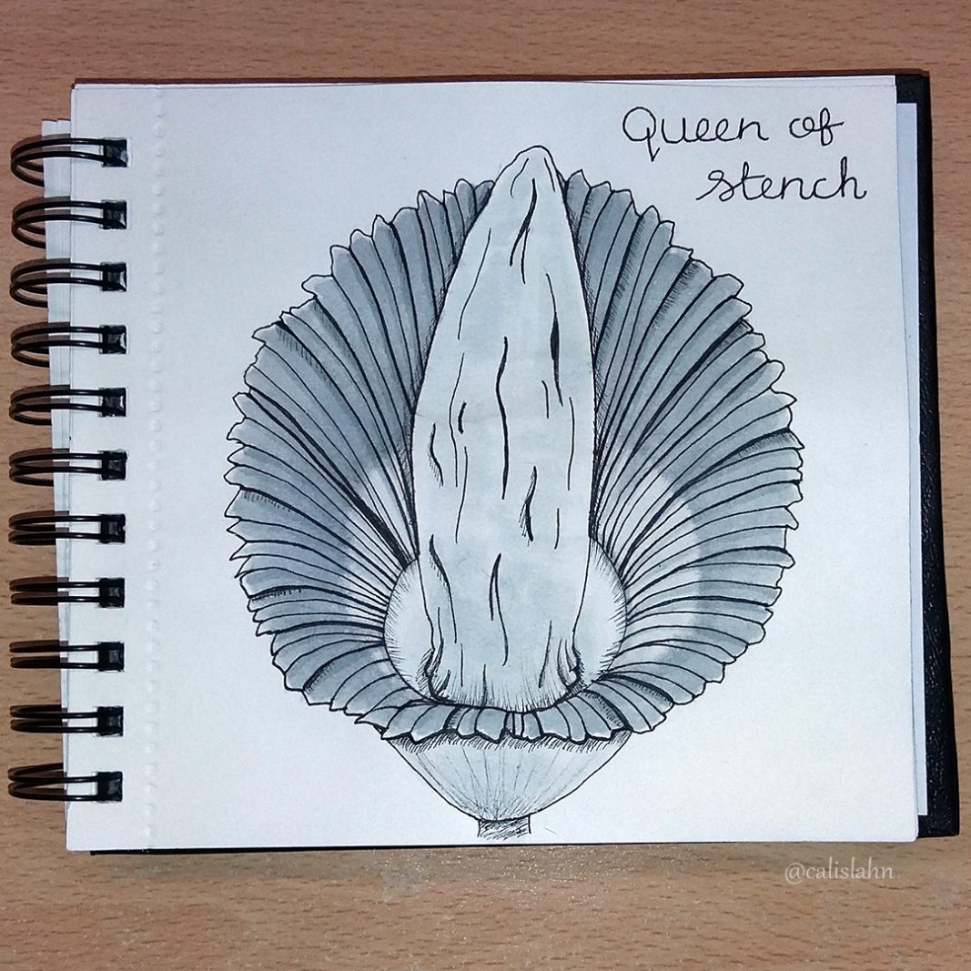 Bloomtober Day 28 - Queen of Stench by Calislahn